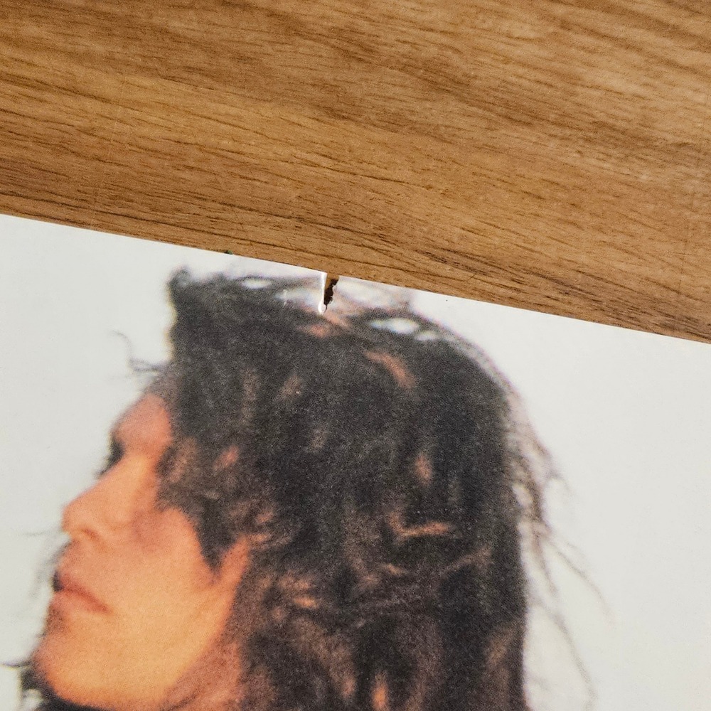 Jon Bon Jovi Blaze of Glory Vintage 1990 Promo Album Poster 24x26 PolyGram - Picture 5 of 7